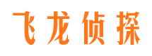 东兰市调查公司